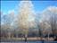 stratus96